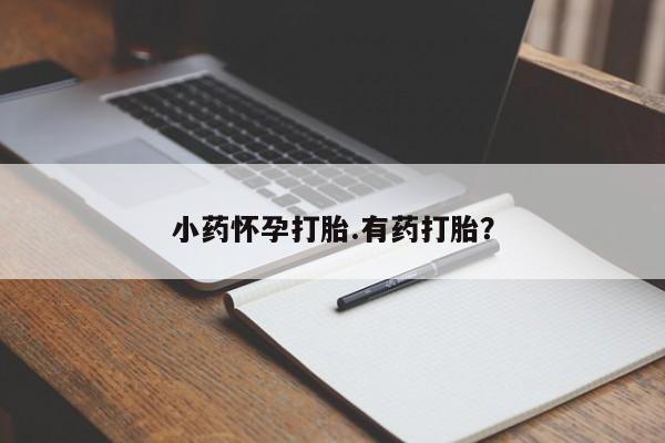 卖打胎药流产药微信小药怀孕打胎.有药打胎？