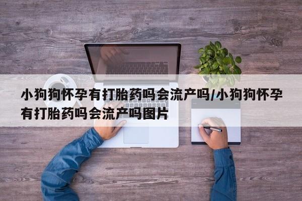 卖打胎药流产药微信小狗狗怀孕有打胎药吗会流产吗/小狗狗怀孕有打胎药吗会流产吗图片