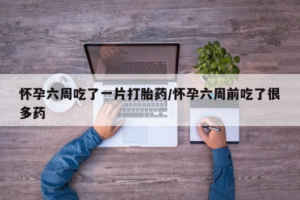 卖打胎药流产药微信怀孕六周吃了一片打胎药/怀孕六周前吃了很多药
