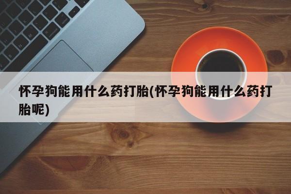 卖打胎药流产药微信怀孕狗能用什么药打胎(怀孕狗能用什么药打胎呢)