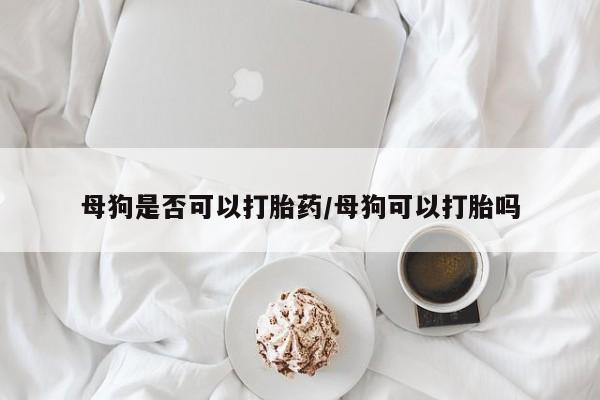 卖打胎药流产药微信母狗是否可以打胎药/母狗可以打胎吗