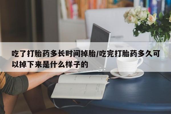 卖打胎药流产药微信吃了打胎药多长时间掉胎/吃完打胎药多久可以掉下来是什么样子的
